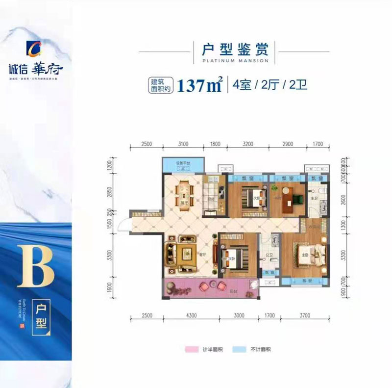 B戶型