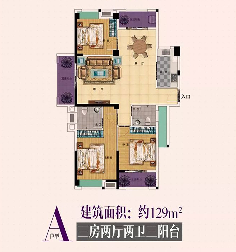 A戶型