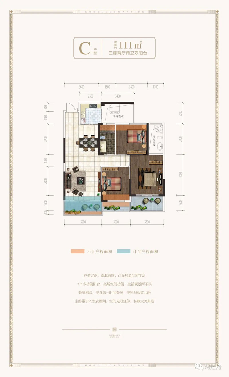 C戶型