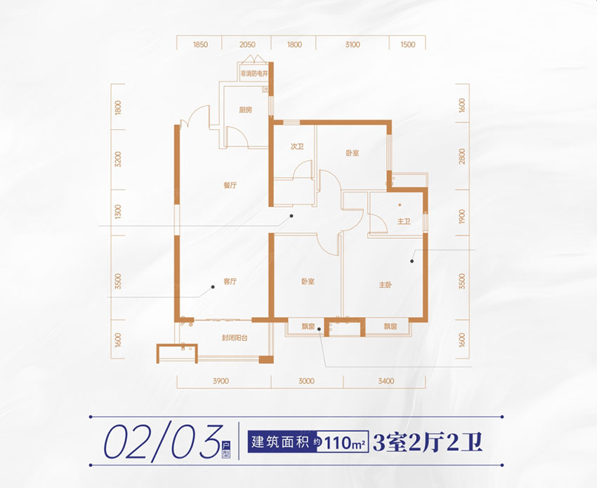 31#02/03戶型