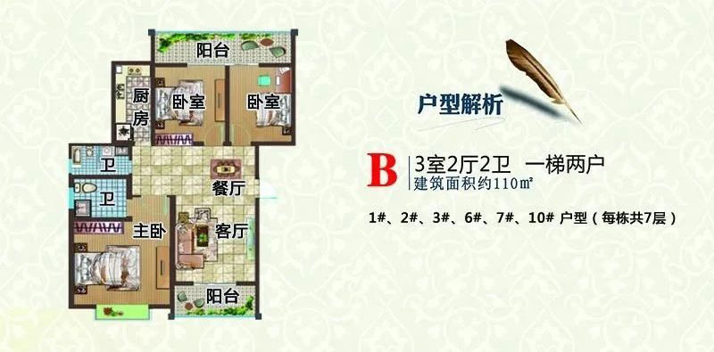 B戶型