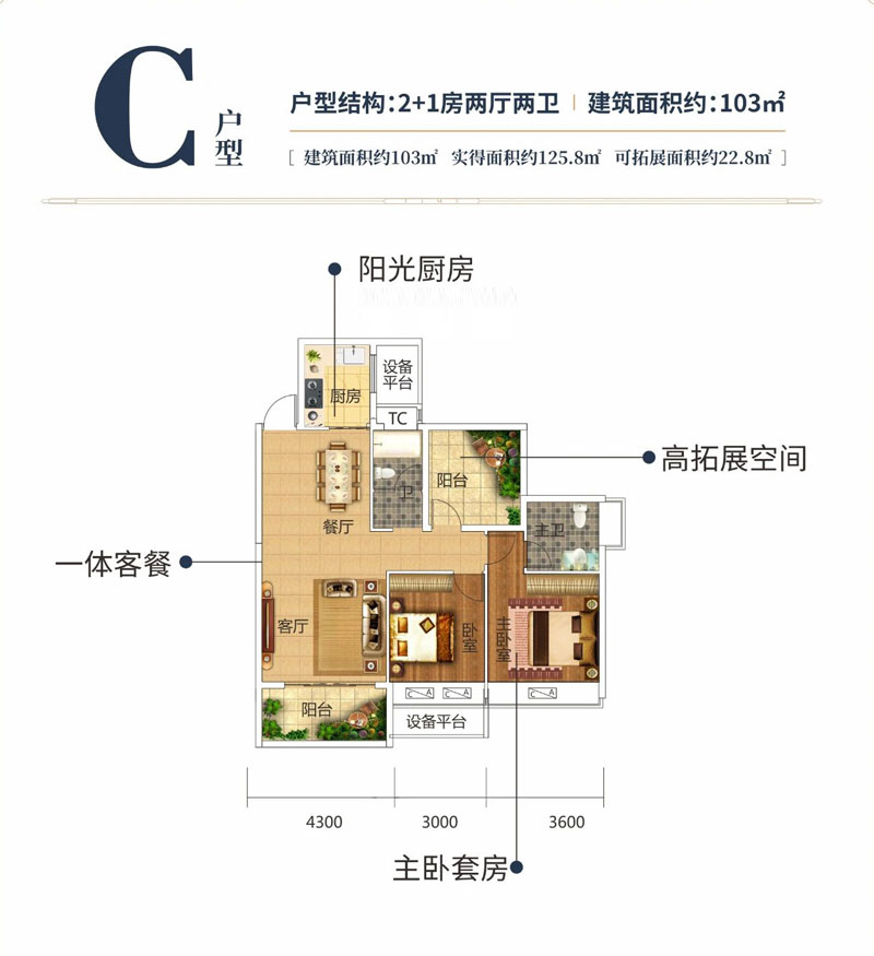 C戶型