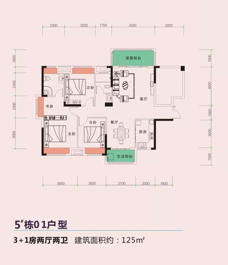 5#棟01戶型