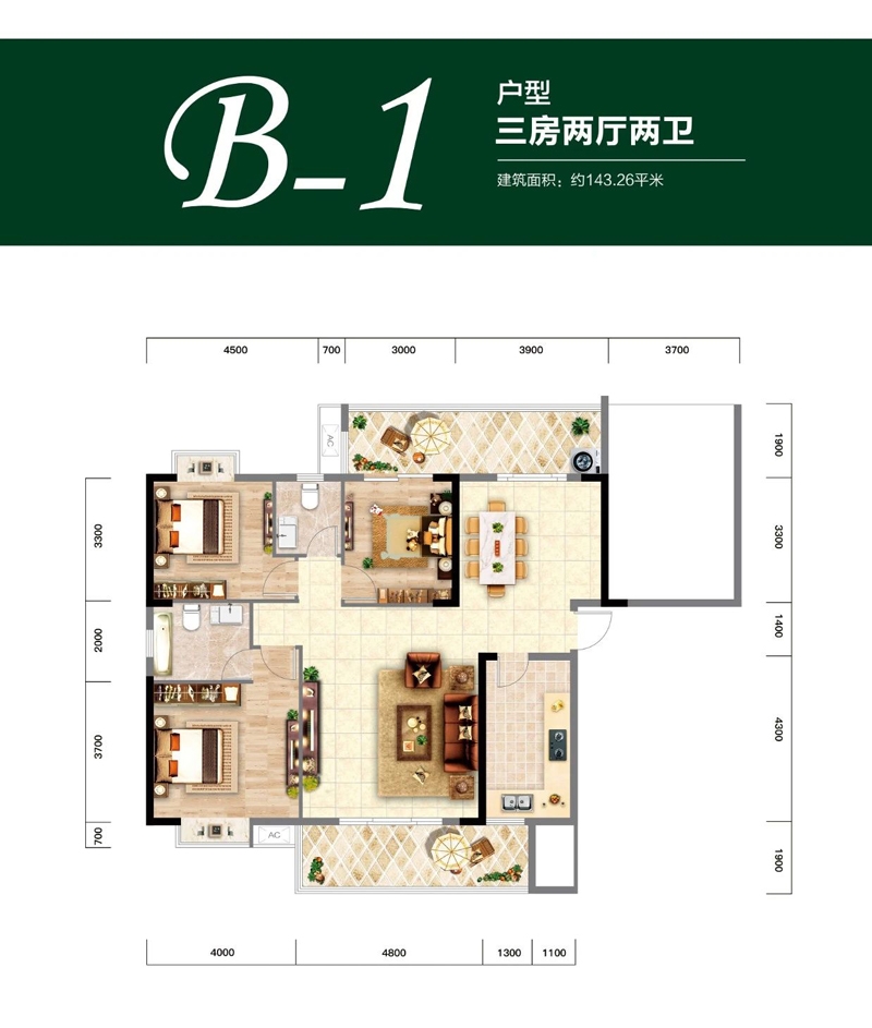 B-1戶型