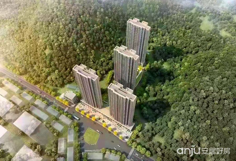 實景圖