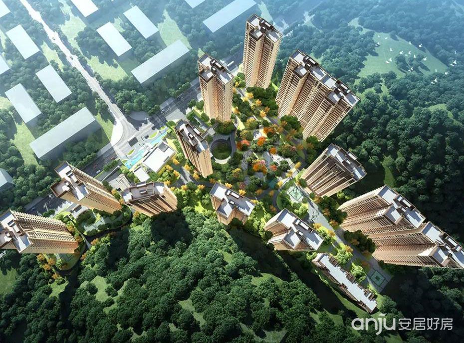 實景圖