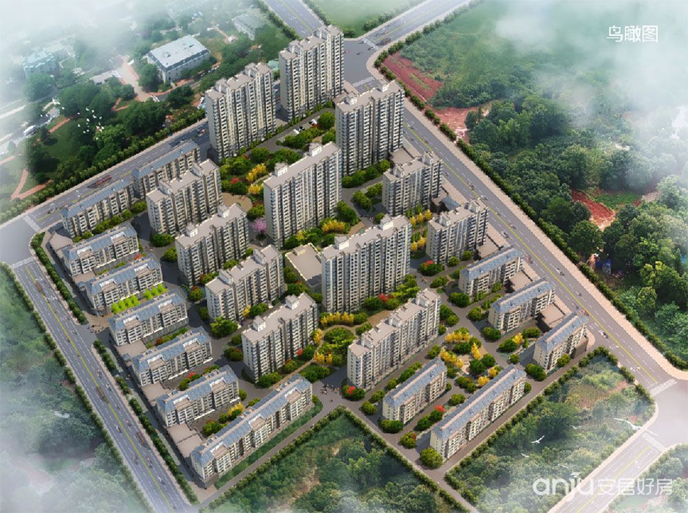實景圖