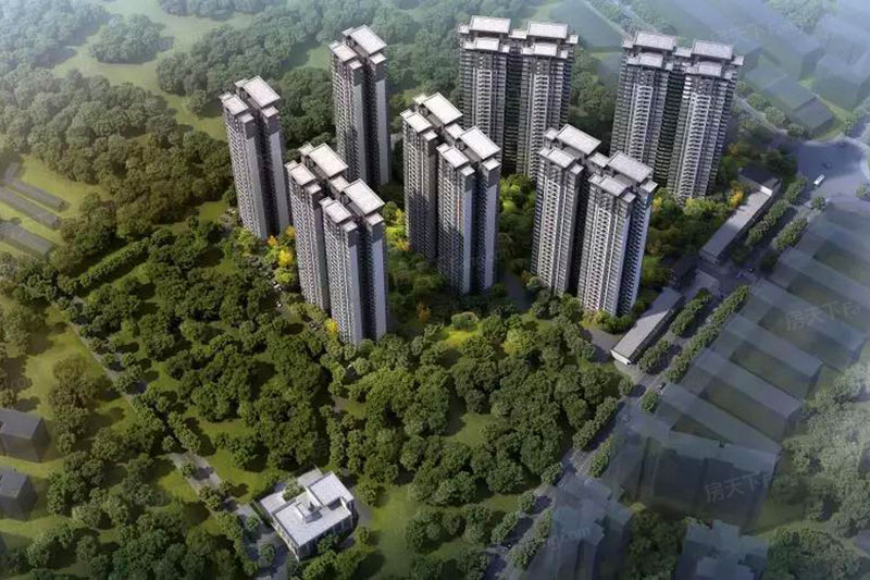 實(shí)景圖