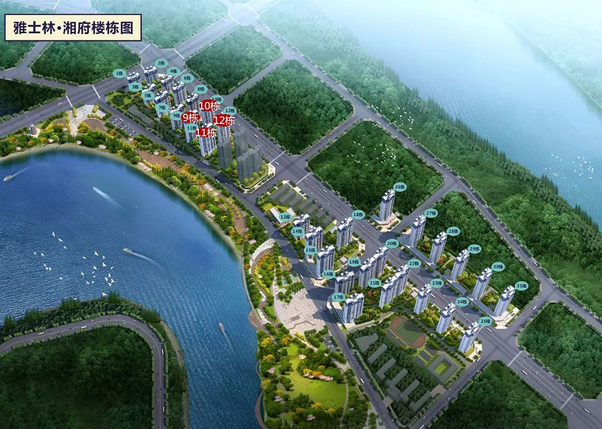 實(shí)景圖
